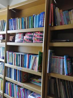 В библиотеке собрана художественная литература для детей дошкольного возраста, познавательные журналы и другие подписные издания.